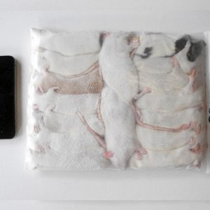 Frozen Rats - Bulk Packs