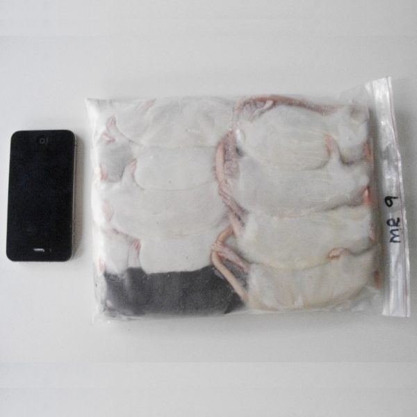 Frozen Rats – Bulk Packs – Rodent Farm - Frozen Stored Rat Breeding Supplies