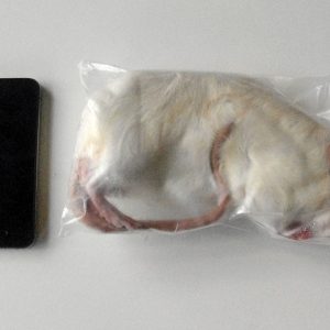 3 Jumbo Mice – Standard Pack