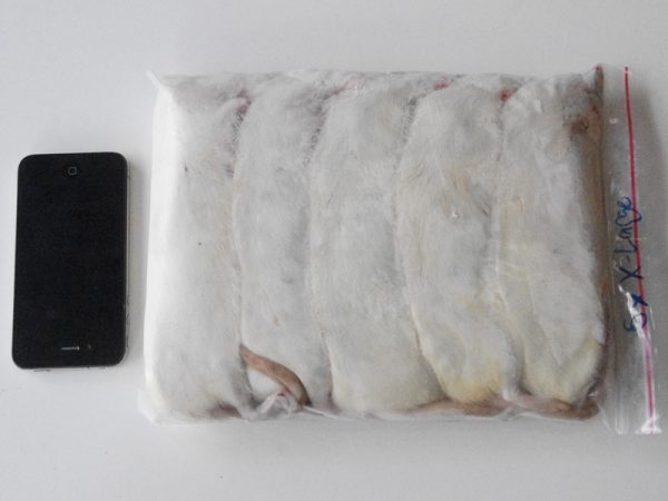 Frozen Rats – Standard Packs – Rodent Farm