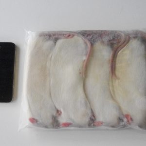 56 Jumbo Rats – Large Box